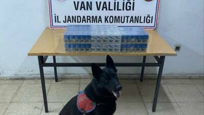 Van’da jandarma ekipleri tarafından düzenlen 8 ayrı operasyonla kaçak sigara