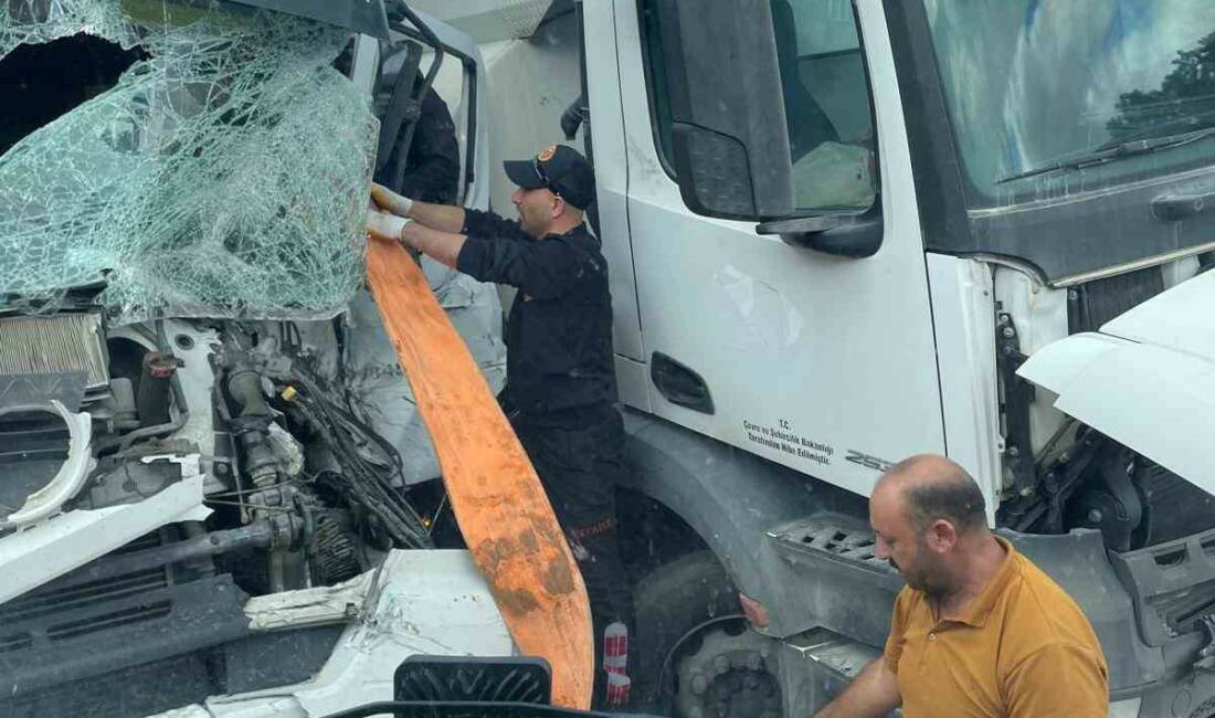 Van’ın Çaldıran ilçesinde tırın sulama kamyonuna arkadan çarpması sonucu meydana