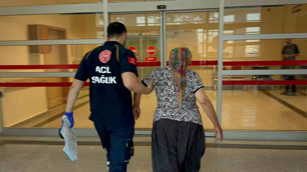 Adıyaman’da, yılan tarafından ısırılan kadın, hastaneye kaldırıldı. Adıyaman merkez Davuthan