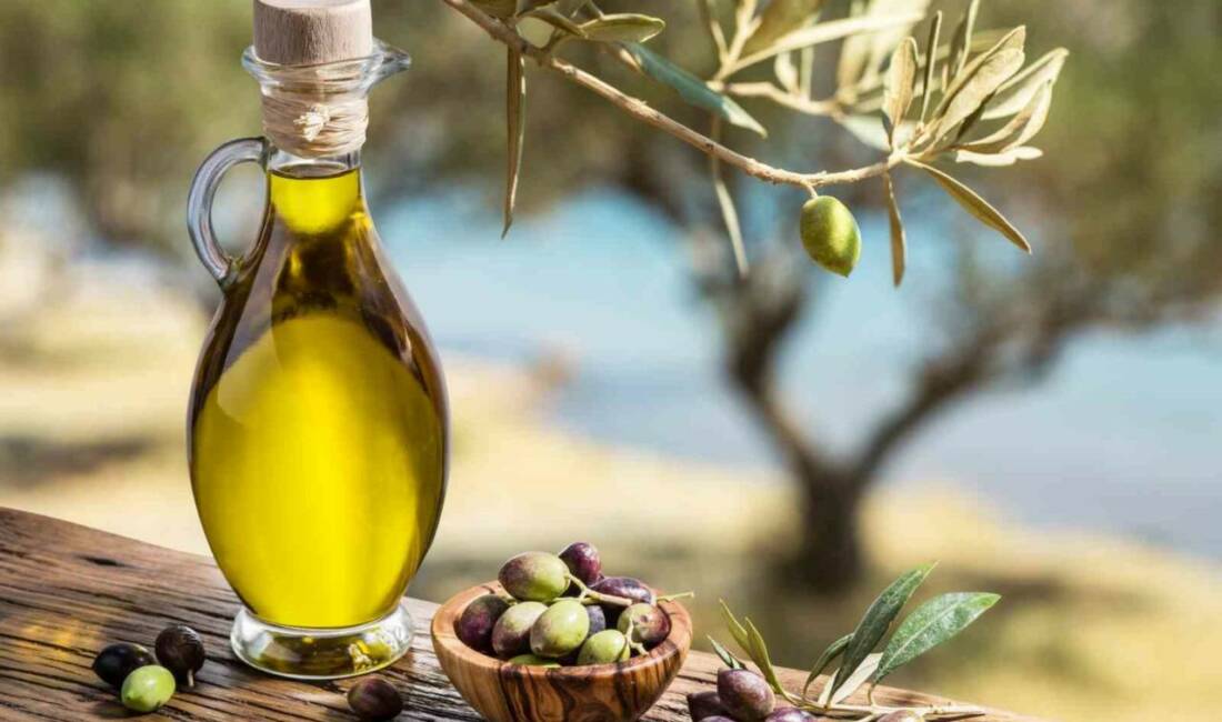 Zeytinde, geçen döneme göre yüzde 40 ya da daha fazla