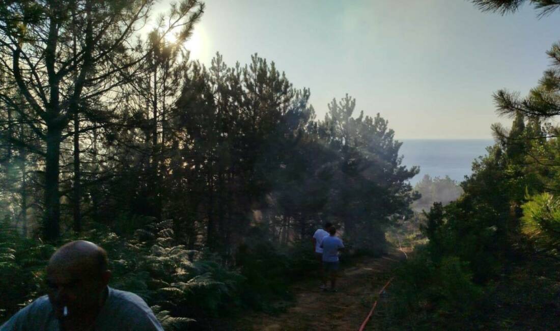 Zonguldak’ın Ereğli ilçesine bağlı Tepeören köyünde çıkan orman yangını, ekiplerin