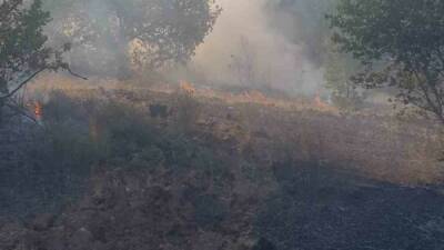 Zonguldak’ın merkez ilçesine bağlı Kaleoğlu köyü yakınlarındaki ormanlık alanda çıkan