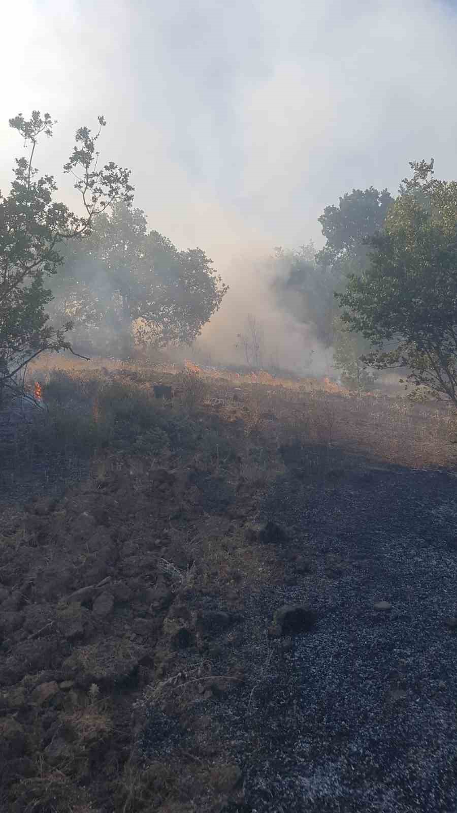 Zonguldak’ın merkez ilçesine bağlı Kaleoğlu köyü yakınlarındaki ormanlık alanda çıkan