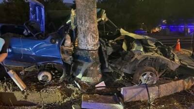 Elazığ’da meydana gelen kazada ağaca çarpan Fiat Tofaş marka araç