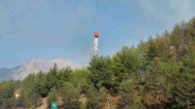 Adana’nın Pozantı ilçesinde otoyolda yanan aracın sebep olduğu orman yangını,