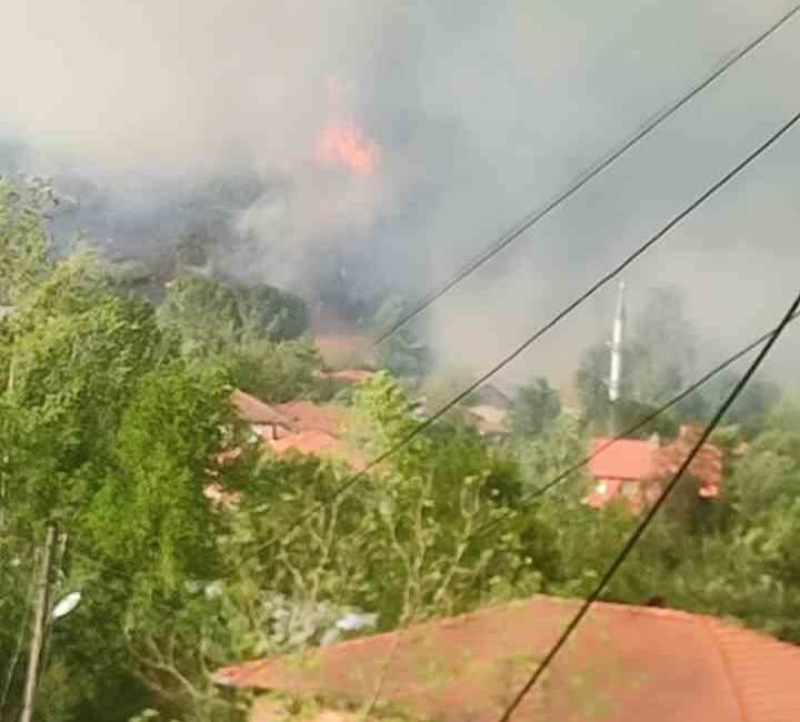 Bartın’ın merkeze bağlı Kayadibiçavuş köyü yakınlarında orman yangını çıktı. Bartın