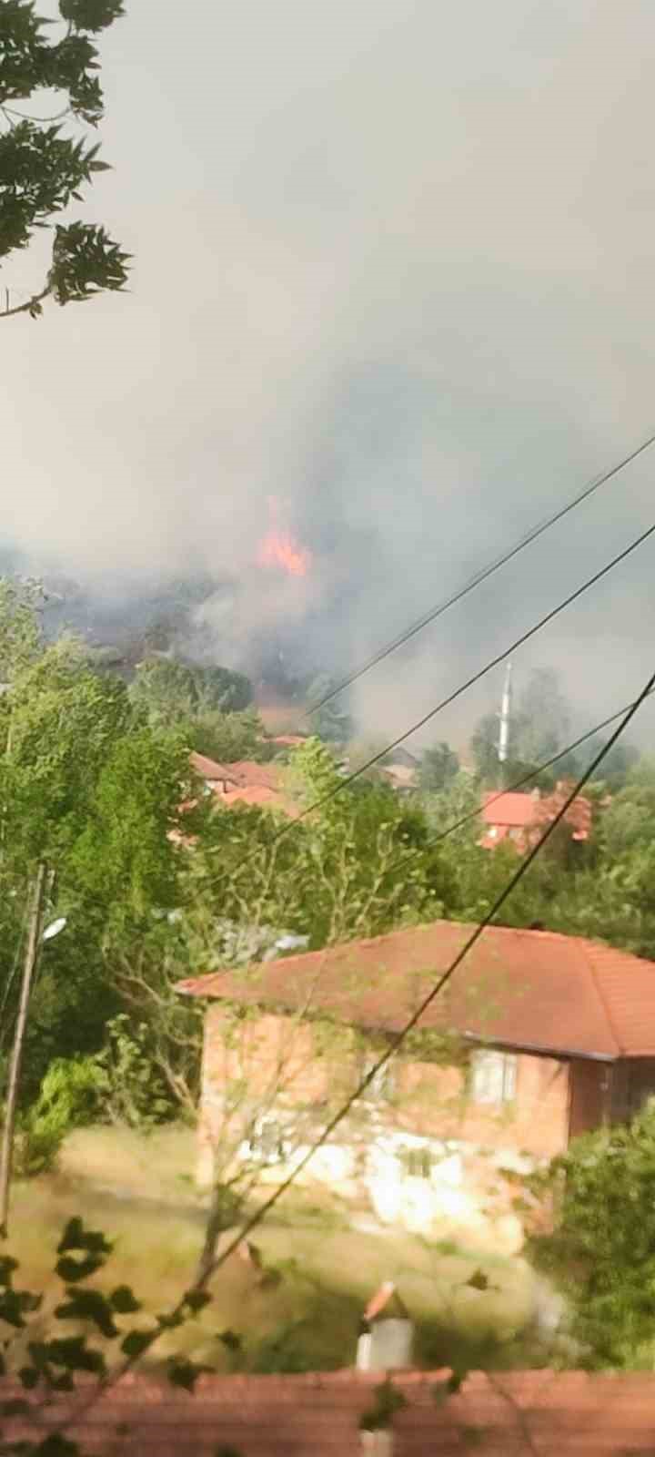 Bartın’ın merkeze bağlı Kayadibiçavuş köyü yakınlarında orman yangını çıktı. Bartın
