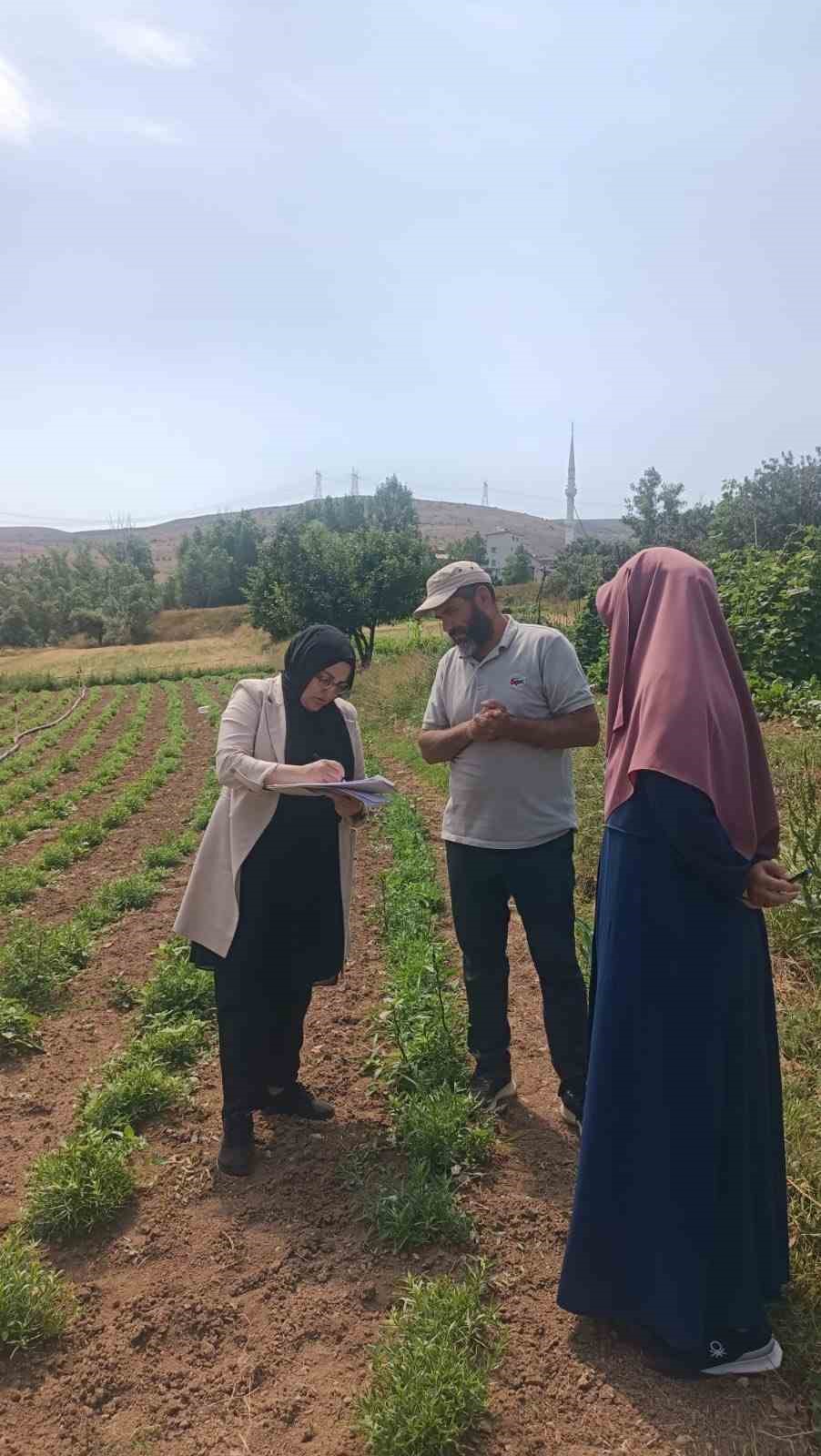 Bayburt’a özgü aromasıyla bilinen ve coğrafi işaretle tescillenen Bayburt tarhununda