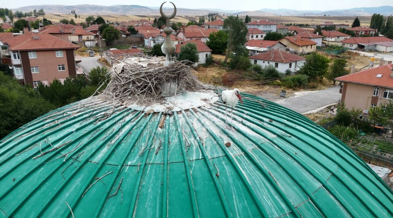 Çankırı’nın Orta ilçesinde bulunan bir caminin kubbesi, yıllardır leyleklere ev