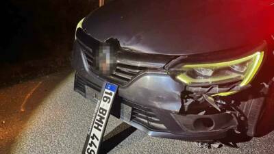 Bursa’da seyir halindeki sürücü, yola aniden çıkan ayıya çarptı. Kazada