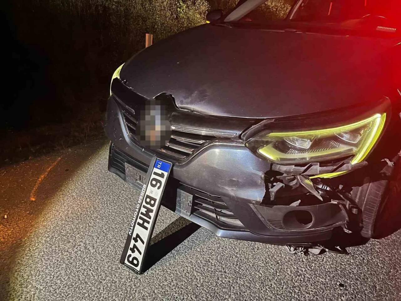 Bursa’da seyir halindeki sürücü, yola aniden çıkan ayıya çarptı. Kazada