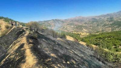 Diyarbakır’ın Lice ilçesinde üç farklı noktada çıkan örtü ve orman
