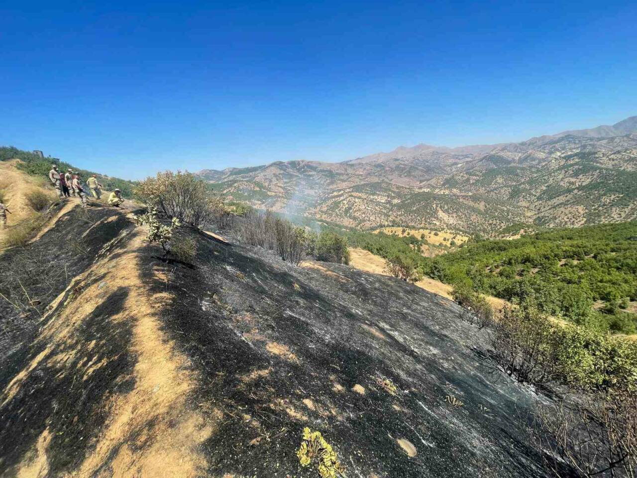 Diyarbakır’ın Lice ilçesinde üç farklı noktada çıkan örtü ve orman
