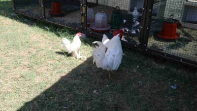 Battalgazi Belediyesi’nin özel ihtiyaçlı bireylere hizmet sunduğu Engelsiz Yaşam Merkezi,