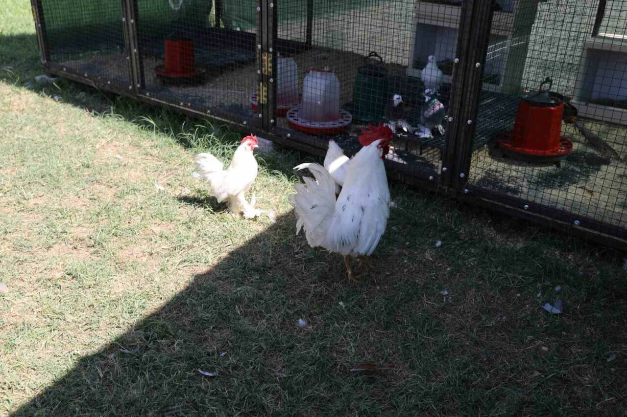 Battalgazi Belediyesi’nin özel ihtiyaçlı bireylere hizmet sunduğu Engelsiz Yaşam Merkezi,