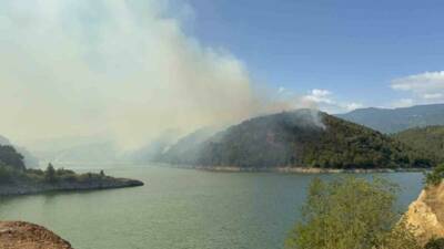 Tokat’ın Erbaa ilçesinde çıkan orman yangınında 500 dönümlük alan zarar