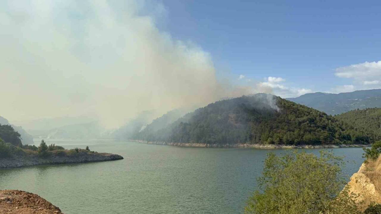 Tokat’ın Erbaa ilçesinde çıkan orman yangınında 500 dönümlük alan zarar
