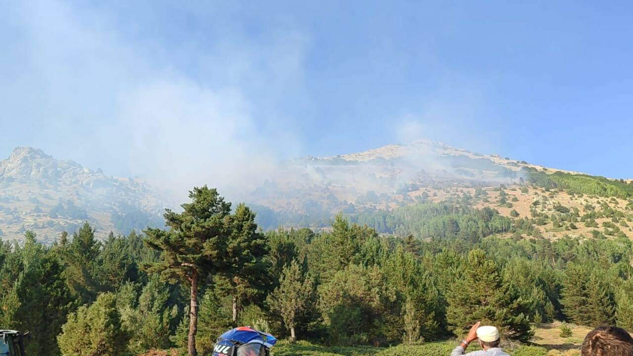 Gümüşhane’nin Şiran ilçesinde çıkan örtü yangını, ekiplerin müdahalesiyle söndürüldü. Şiran’ın