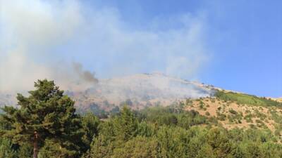 GÜMÜŞHANE (AA) – Gümüşhane’nin Şiran ilçesinde çıkan örtü yangını kontrol