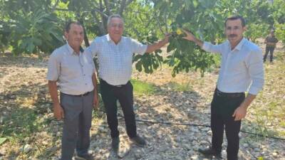 Bozdoğan Kaymakamı Yunus Emre Polat, incir üreticileri ile bir araya