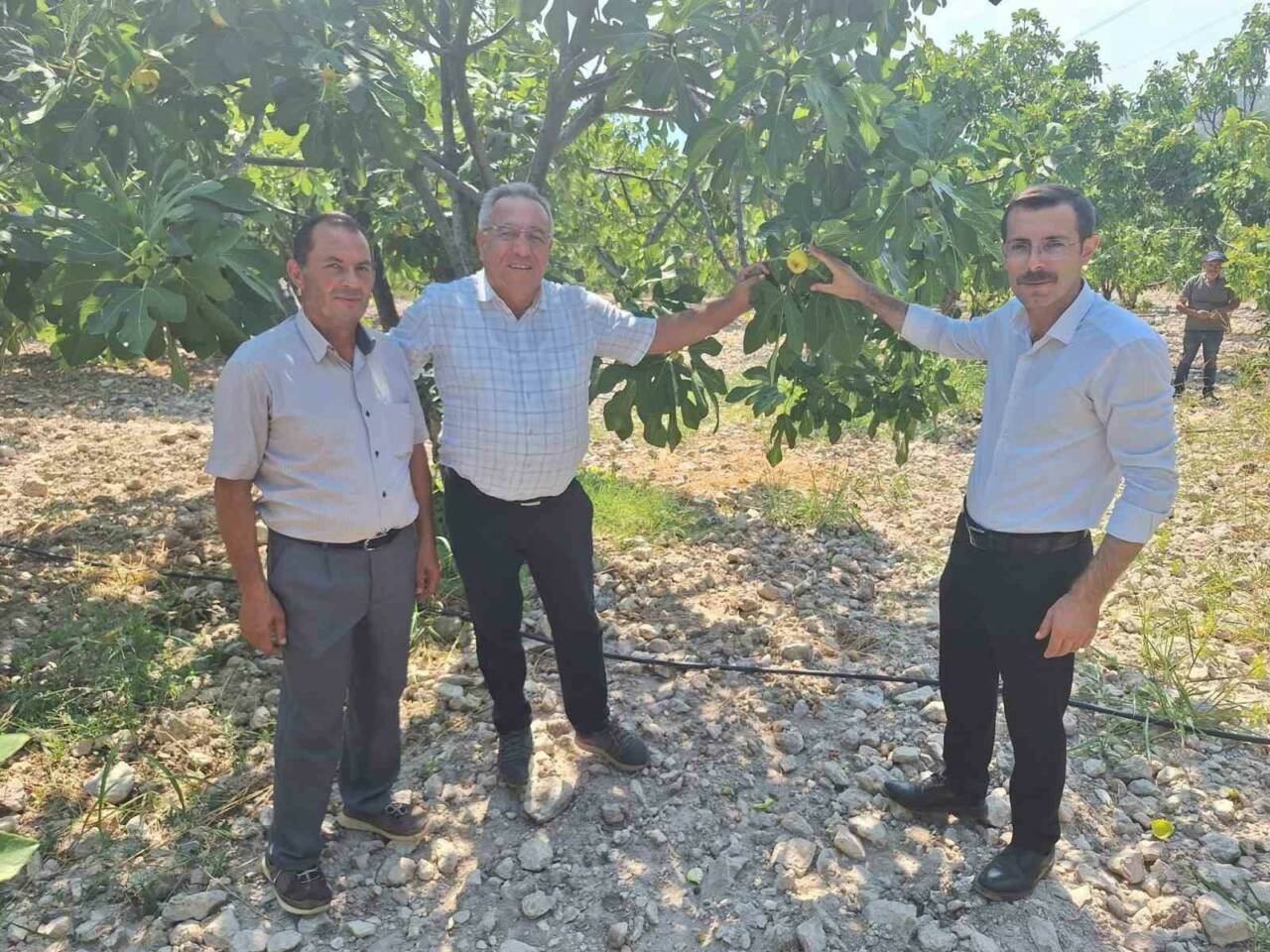 Bozdoğan Kaymakamı Yunus Emre Polat, incir üreticileri ile bir araya