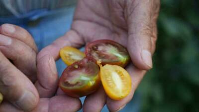 Samsun’da yaşayan bir emekli öğretmen, 50 farklı ülkeden topladığı 200