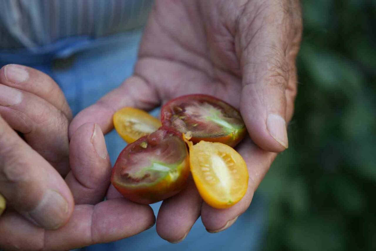 Samsun’da yaşayan bir emekli öğretmen, 50 farklı ülkeden topladığı 200