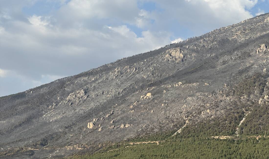 DENİZLİ (AA) – Denizli’nin Pamukkale ilçesindeki orman yangını kontrol altına
