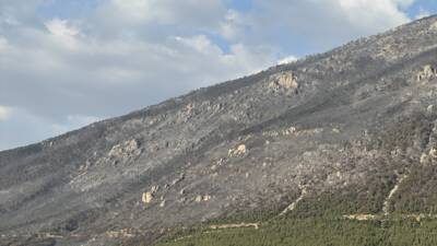 DENİZLİ (AA) – Denizli’nin Pamukkale ilçesindeki orman yangını kontrol altına