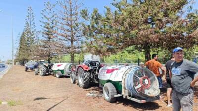 Antalya’nın Manavgat ilçesi D-400 Karayolu üzerindeki refüjlerde bulunan ağaçlar ile