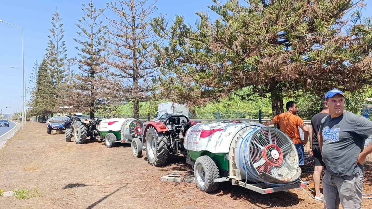 Antalya’nın Manavgat ilçesi D-400 Karayolu üzerindeki refüjlerde bulunan ağaçlar ile