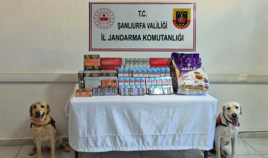 Şanlıurfa İl Jandarma Komutanlığı ekiplerince tütün ve alkol kaçakçılarına yönelik