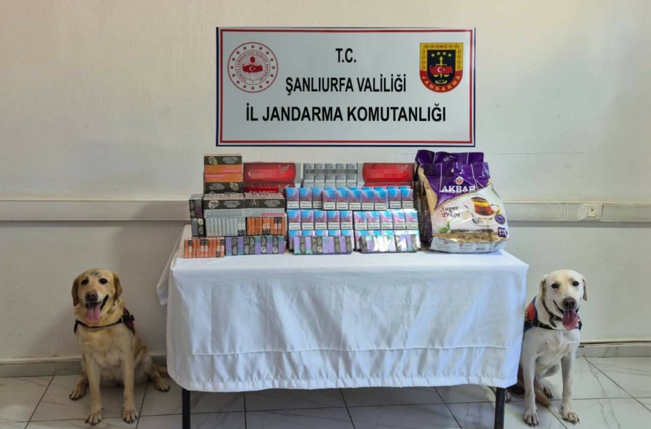 Şanlıurfa İl Jandarma Komutanlığı ekiplerince tütün ve alkol kaçakçılarına yönelik