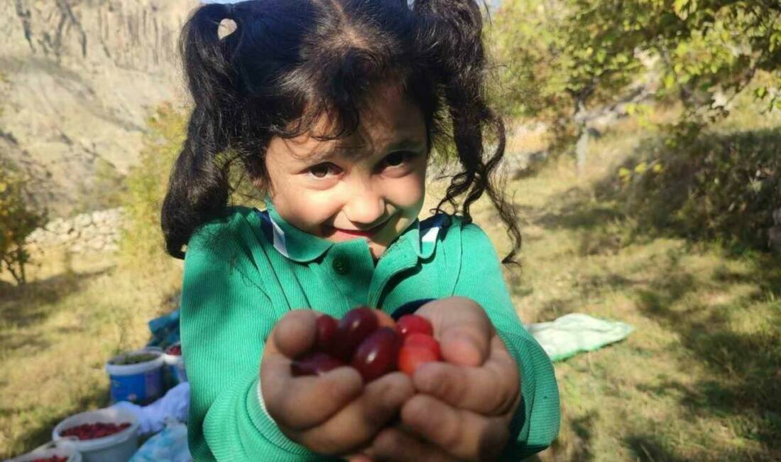 Uzmanlar tarafından yüksek besin maddesi ve antioksidan içeriği nedeniyle sağlıklı