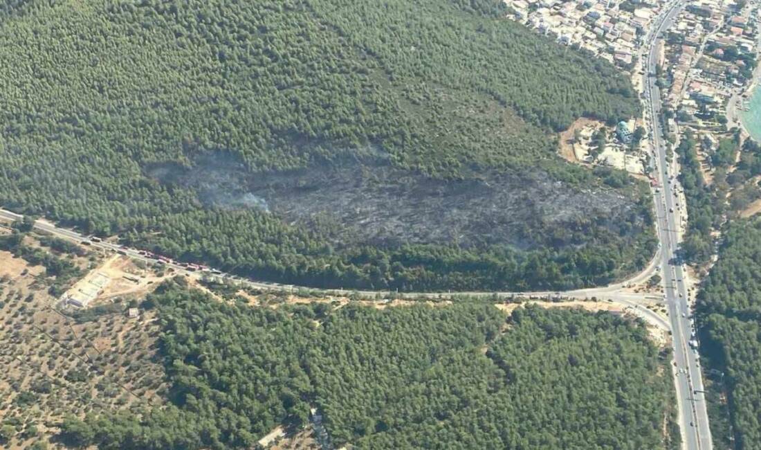 Muğla’nın Bodrum ilçesinde çıkan orman yangını ekiplerin havadan ve karadan