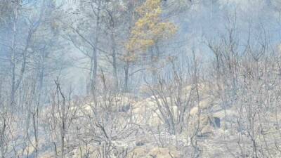 Muğla’nın Bodrum ilçesinde çıkan orman yangınına ekiplerin havadan ve karadan