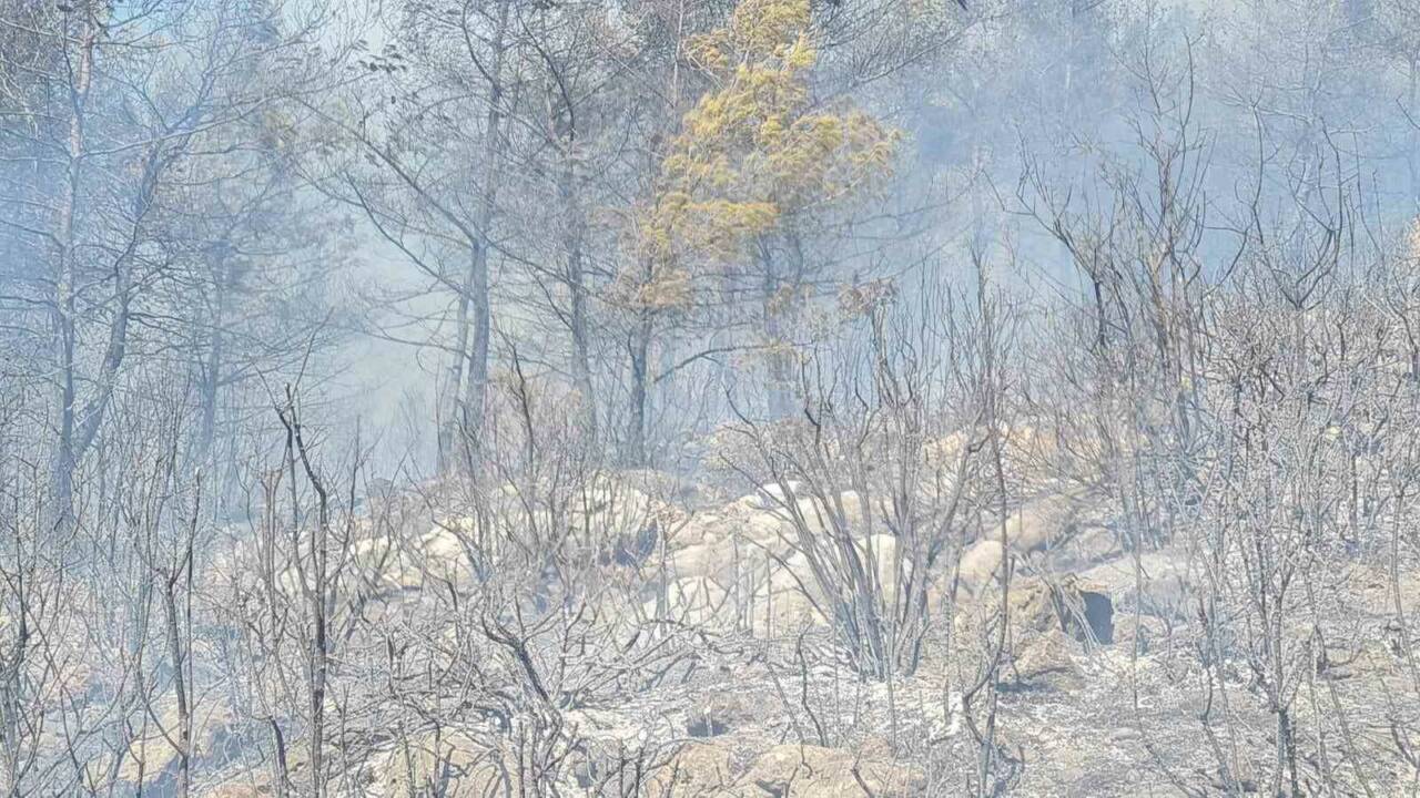 Muğla’nın Bodrum ilçesinde çıkan orman yangınına ekiplerin havadan ve karadan