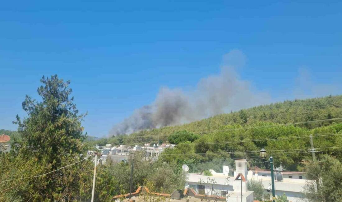 Bodrum’un Güvercinlik Mahallesi’nde ormanlık alanda yangın başladı. Bugün öğleden sonra