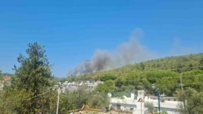 Bodrum’un Güvercinlik Mahallesi’nde ormanlık alanda yangın başladı. Bugün öğleden sonra