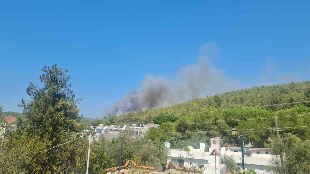 Bodrum’un Güvercinlik Mahallesi’nde ormanlık alanda yangın başladı. Bugün öğleden sonra