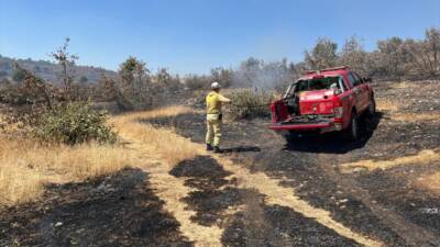 MARDİN (AA) – Mardin’in Savur ilçesinde ormanlık alanda çıkan yangını