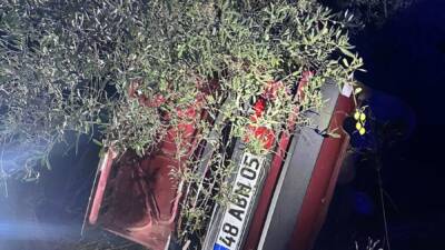 MUĞLA (AA) – Muğla’nın Milas ilçesinde otomobilin şarampole devrilerek ağaca