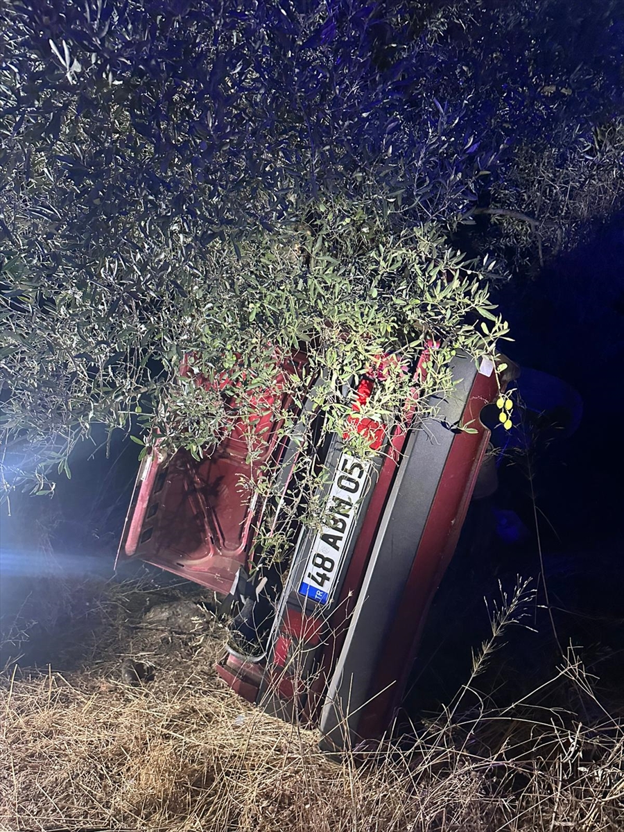 MUĞLA (AA) – Muğla’nın Milas ilçesinde otomobilin şarampole devrilerek ağaca