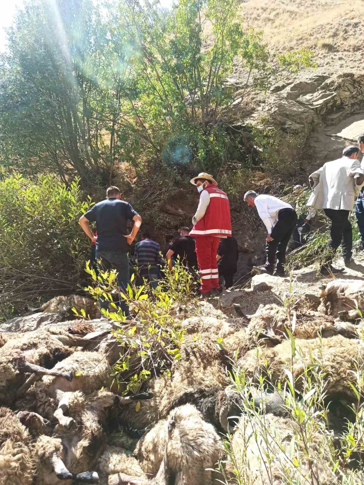 Van’ın Çatak ilçesinde meydana gelen olayda, bir sürüye ait 334