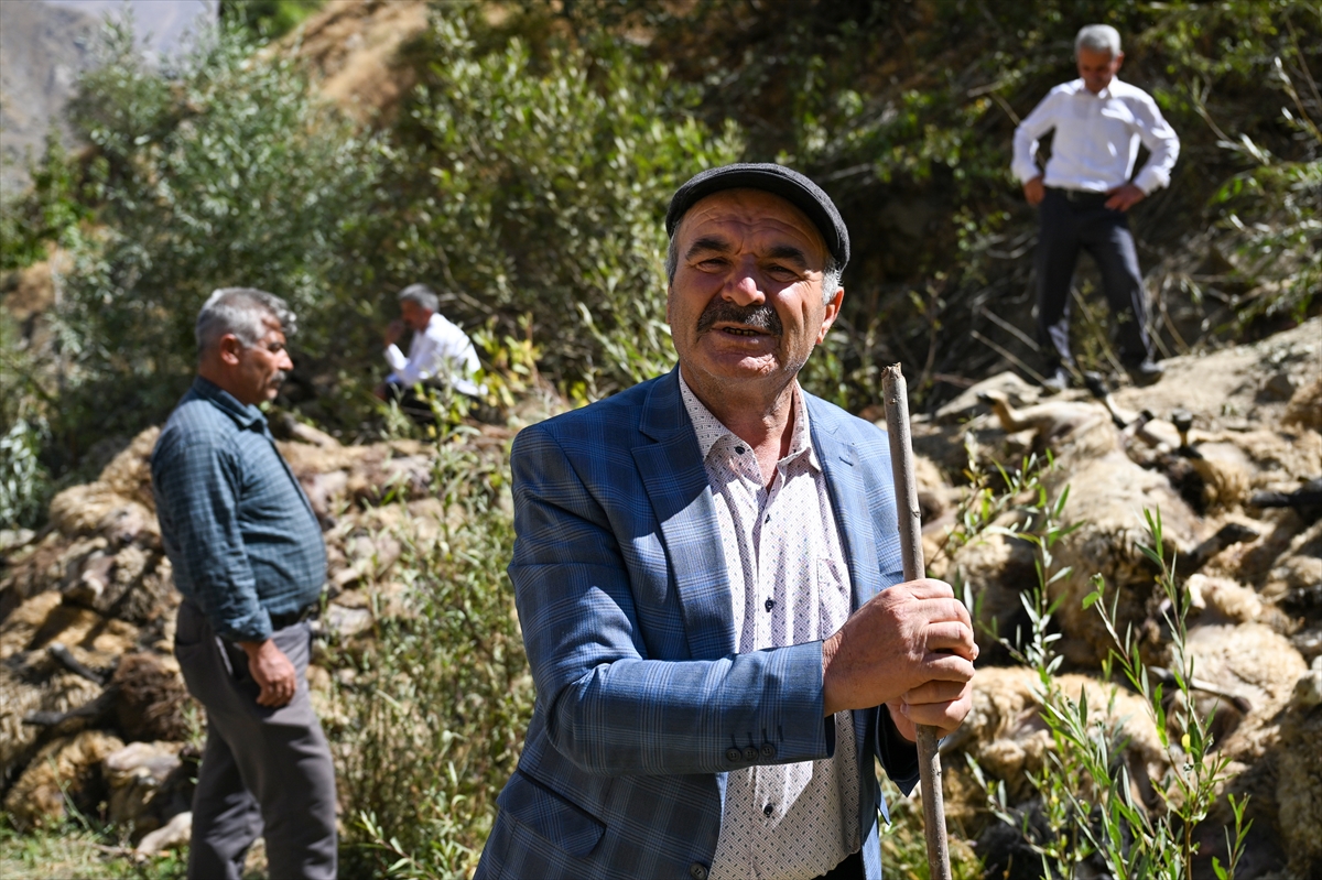 VAN (AA) – Van’ın Çatak ilçesinde kayalık alandan düşen 334