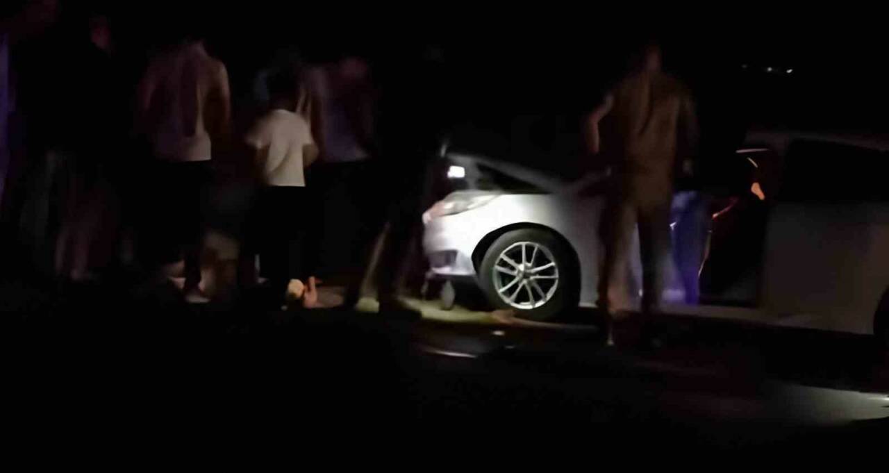 Van’ın Erciş ilçesinde otomobilin koyun sürüsüne çarpması sonucu 8 koyun