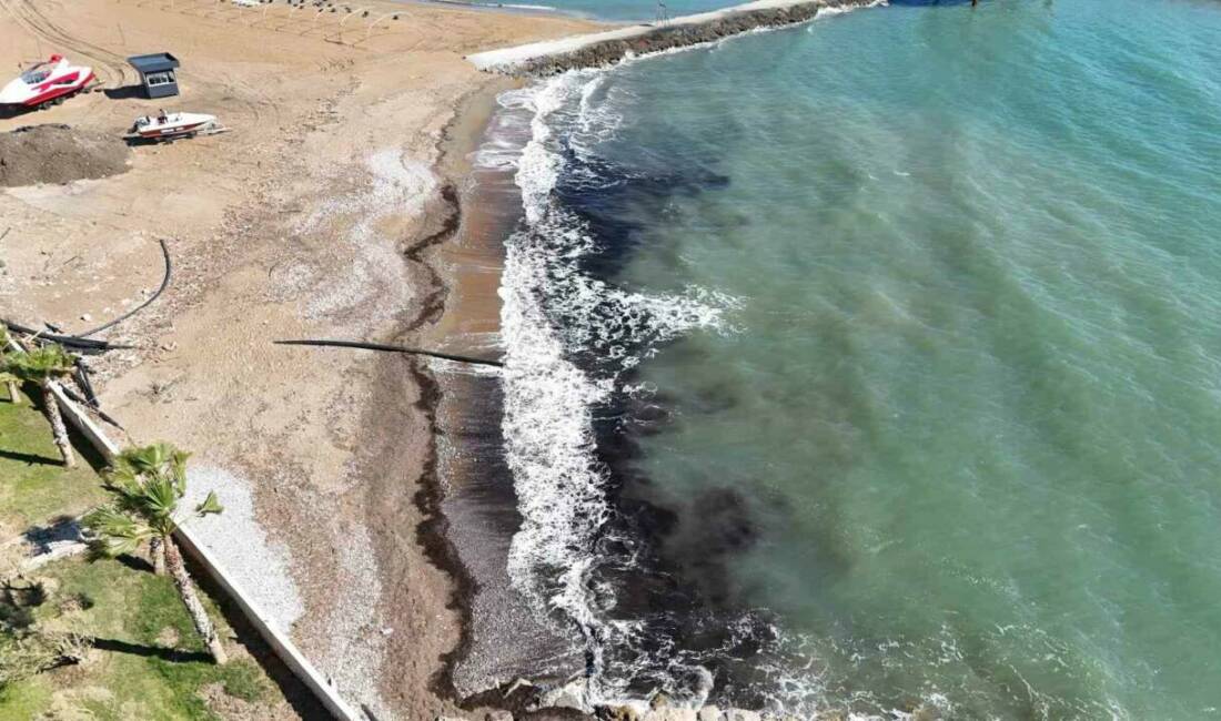 Antalya’nın Alanya ilçesine bağlı Türkler Mahallesi sahilinde kıyı şeridinde deniz