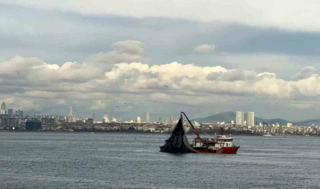 Denizlerde av mevsiminin son günlerinde Marmara’da istavrit bolluğu yaşanıyor. Denizlerde