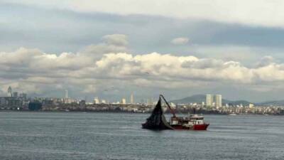 Denizlerde av mevsiminin son günlerinde Marmara’da istavrit bolluğu yaşanıyor. Denizlerde