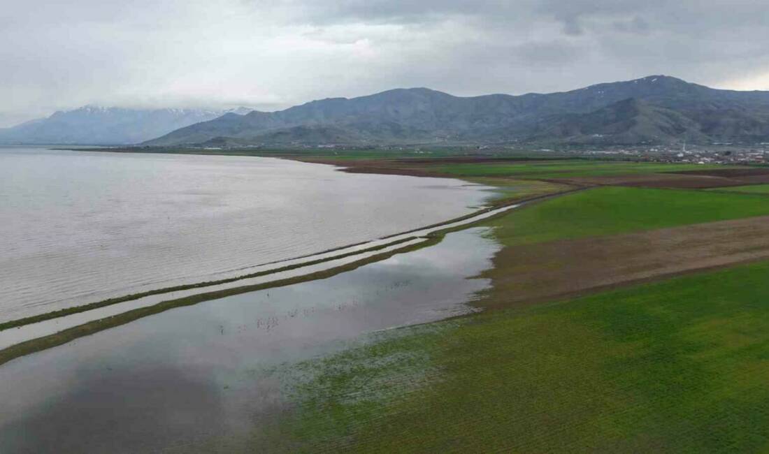Elazığ’da 2019 yılında kuraklık nedeniyle 4 kilometre geri çekilen Keban